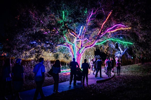 Featured photo from Lightscape at the Houston Botanic Garden in Houston, Texas