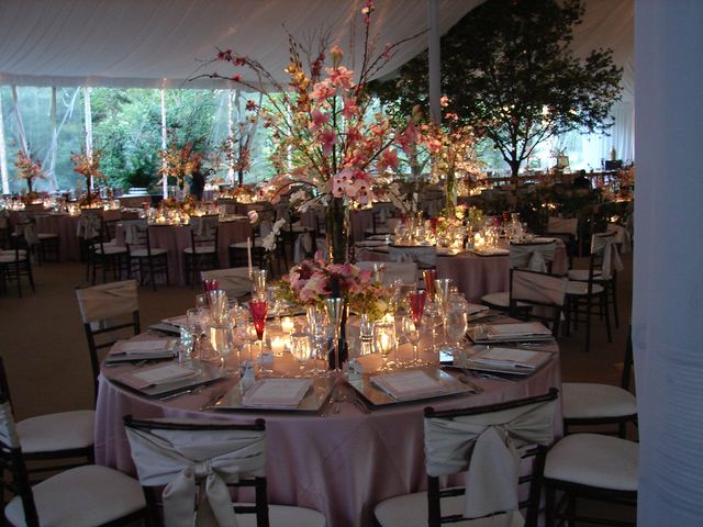 Featured photo from Wedding in the Woods