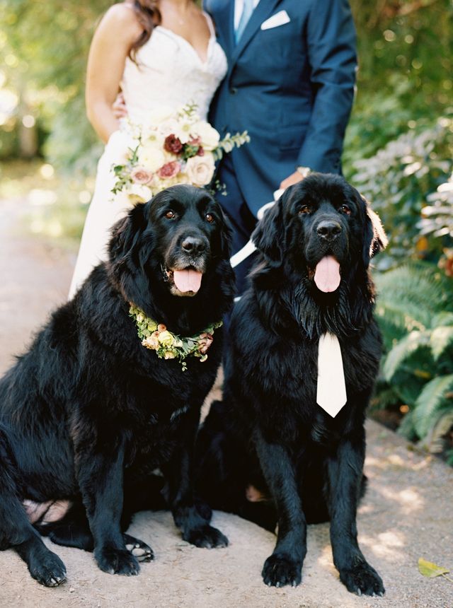Featured photo from Gorgeous Waterfront wedding at Alderbrook Resort and Spa in Union, Washington