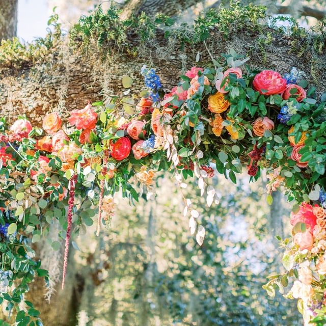 Featured photo from Colorful Wedding in Charleston, South Carolina