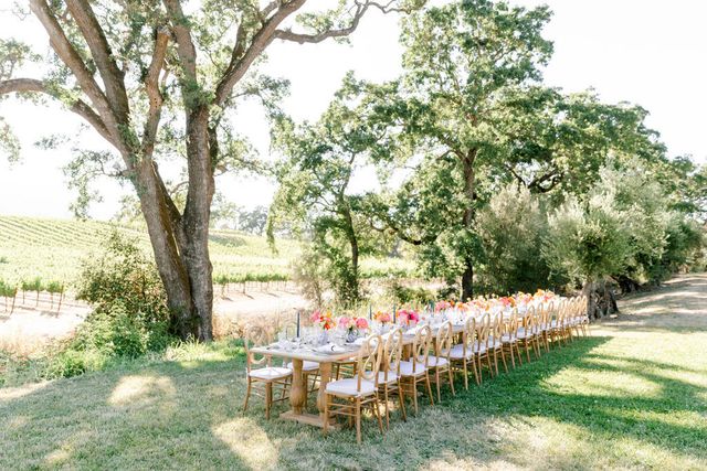 Featured photo from Colorful Wedding at B.R. Cohn Winery in Glen Ellen, California