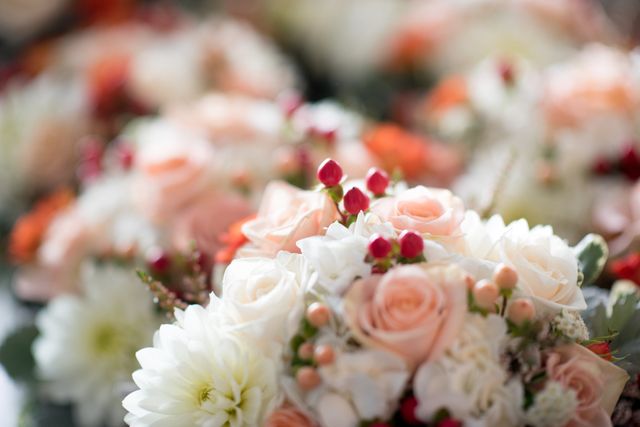 Featured photo from Sea Blue & Coral Yacht Wedding