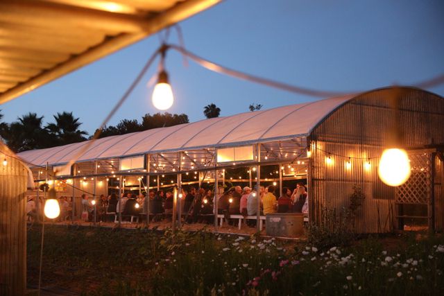 Featured photo from Farm Dinner at Cyclops Farms in Fallbrook, California
