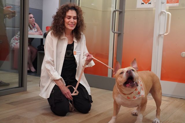 Featured photo from Best Friends Animal Society 5th Anniversary Party in New York