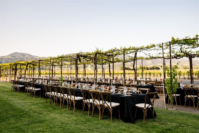 Featured photo from Incredible Wedding at Trentadue Winery in Geyserville, California