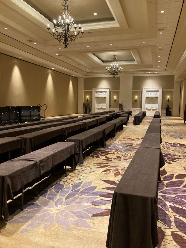 Featured photo from Palazzo D or E