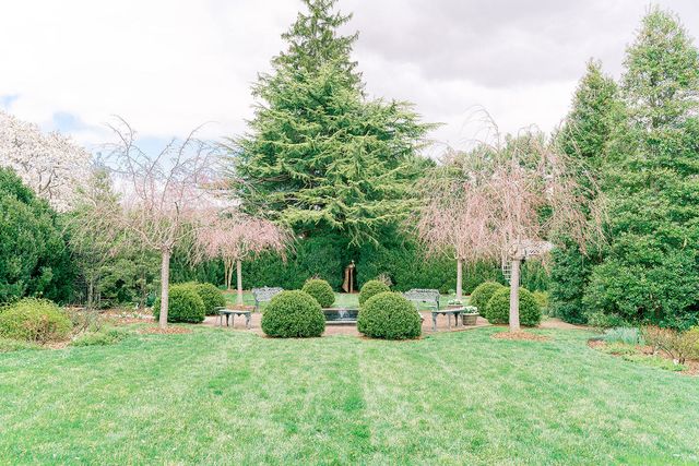 Featured photo from The Gardens