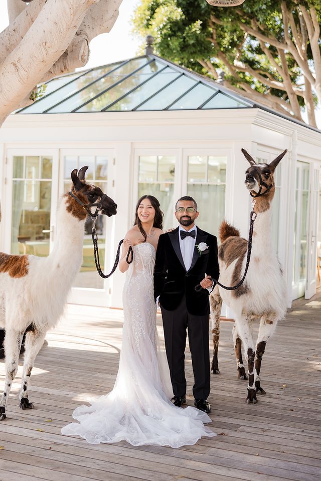 Featured photo from A Luxurious Multicultural Wedding Celebration at Lido House Newport Beach