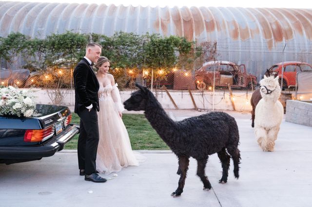 Featured photo from Bright Floral-filled Wedding at The Doyle in Las Vegas, Nevada