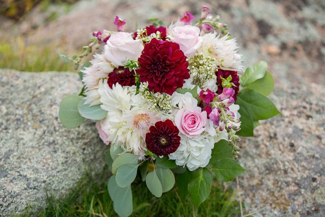 Featured photo from Elegant Elopement in Estes Park