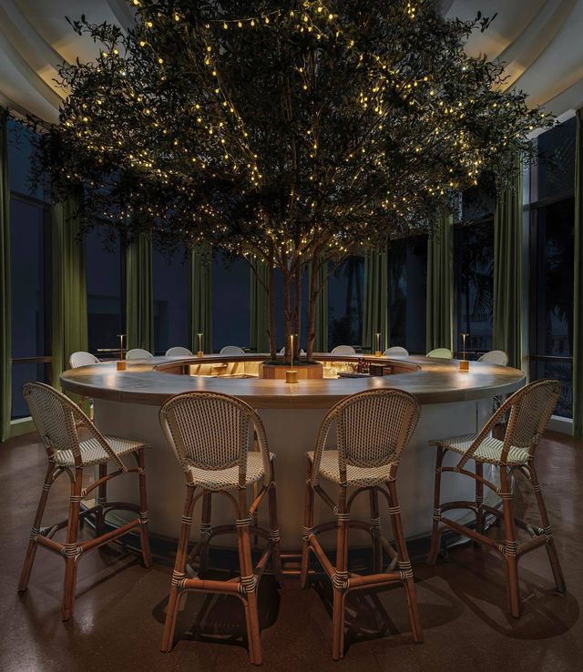 Featured photo from Conservatory