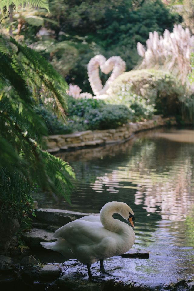 Featured photo from Wonderful Engagement Party at Hotel Bel-Air in Los Angeles, California