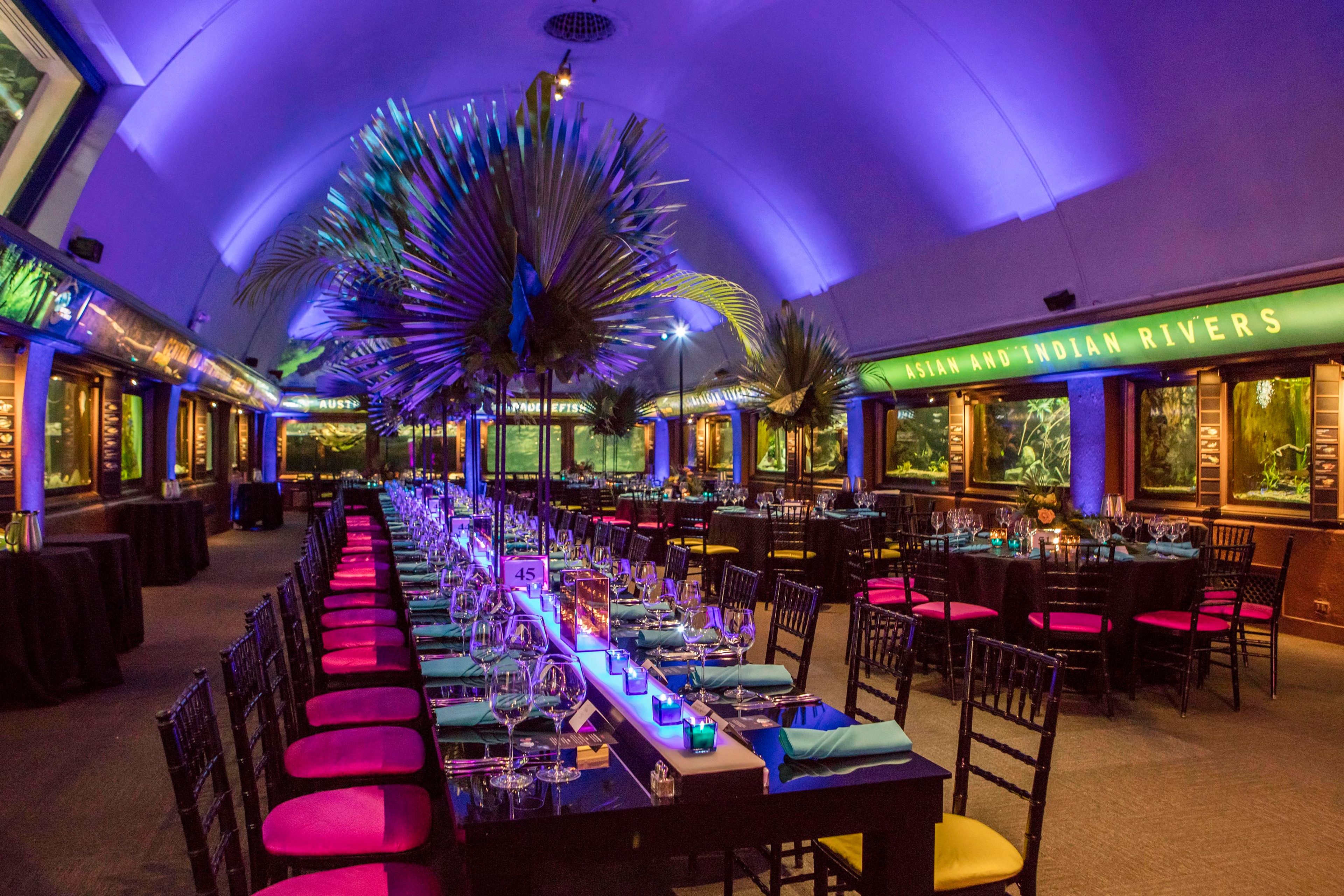 Aquarium Galleries, an event space at Shedd Aquarium