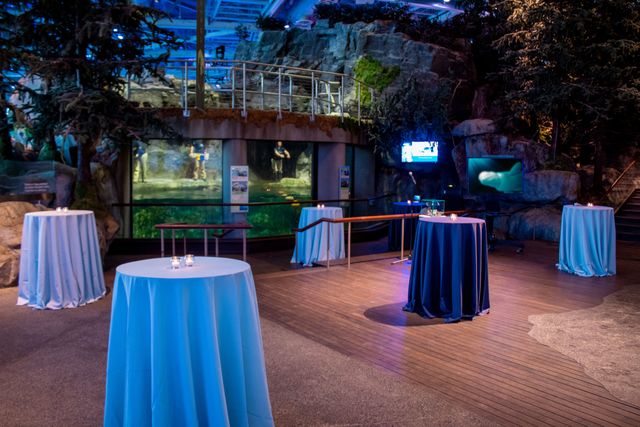 Featured photo from Abbott Oceanarium