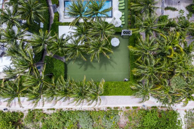 Featured photo from The Lawn