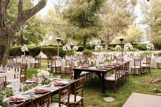 Featured photo from Reception Lawn