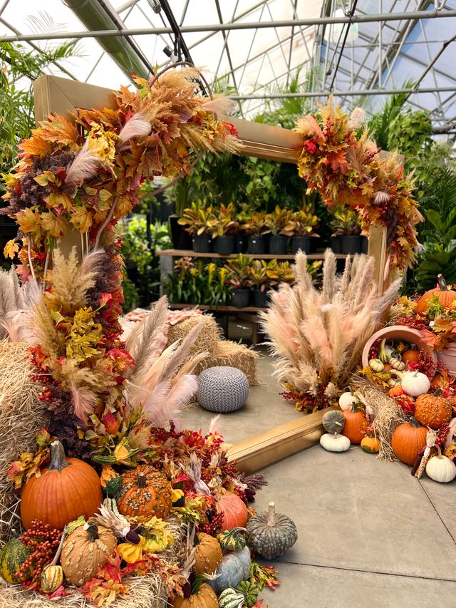 Featured photo from Fall Displays