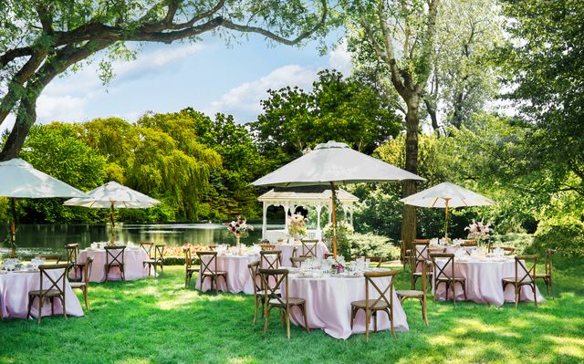 Featured photo from Wandering Tree Estate Property Images