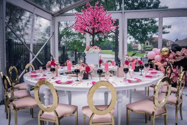 Featured photo from Fabulous Pink Birthday Party in Houston, Texas
