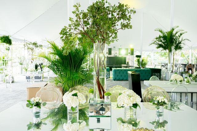 Featured photo from Glamorous Wedding at Fairchild Tropical Botanic Garden