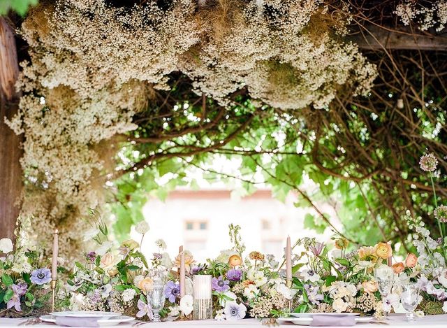 Featured photo from Boho Wedding at Boulder Flower Farm in Boulder, Colorado