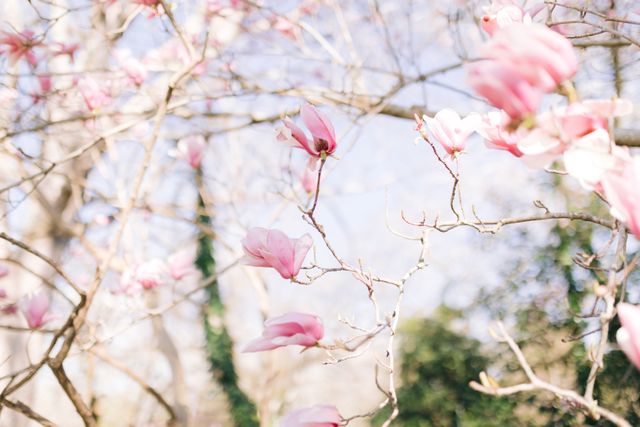 Featured photo from Jason & Samuel