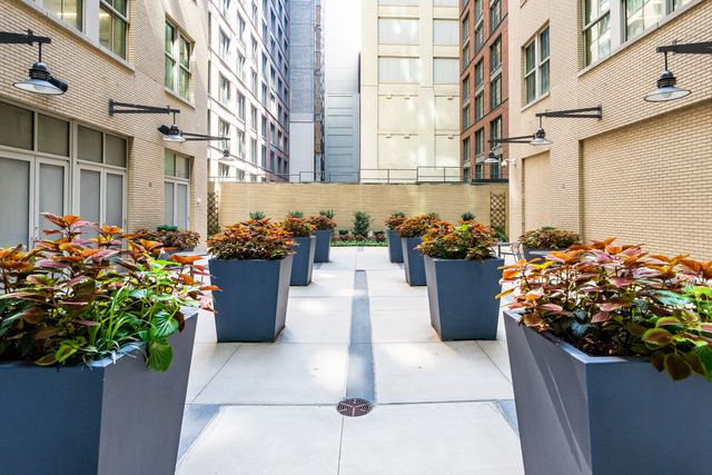 Featured photo from Moonlight Garden