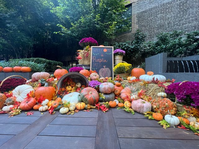 Featured photo from Pumpkin Patch at The Summit