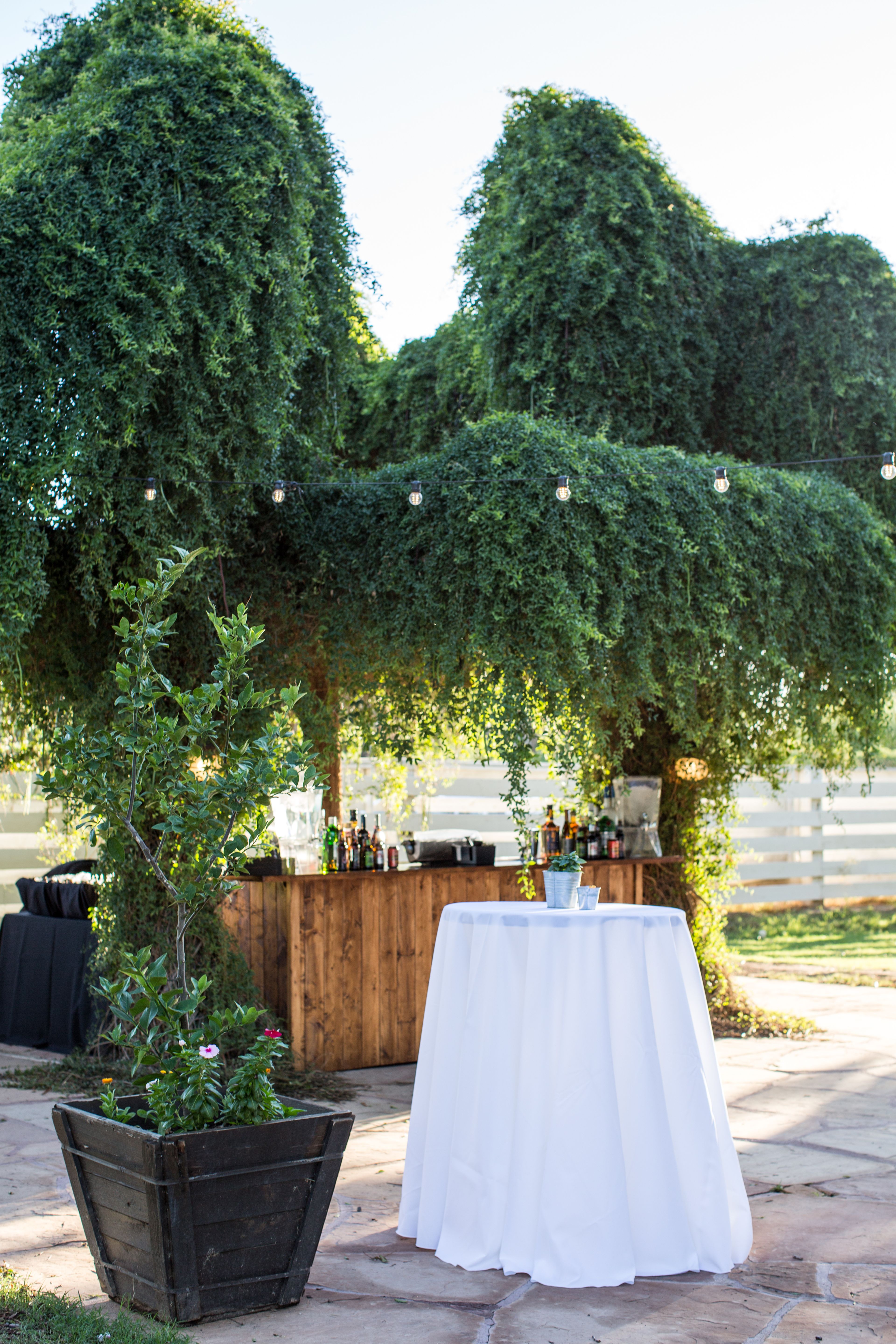 The Canopy in the Grove, an event space at The Farm at South Mountain