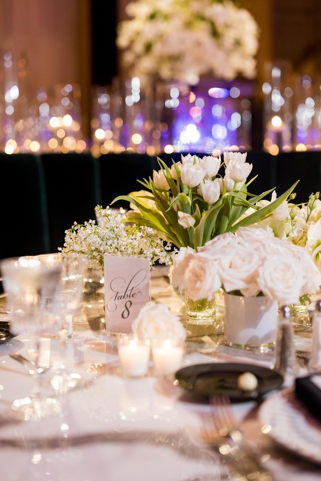 Featured photo from Saratoga Springs