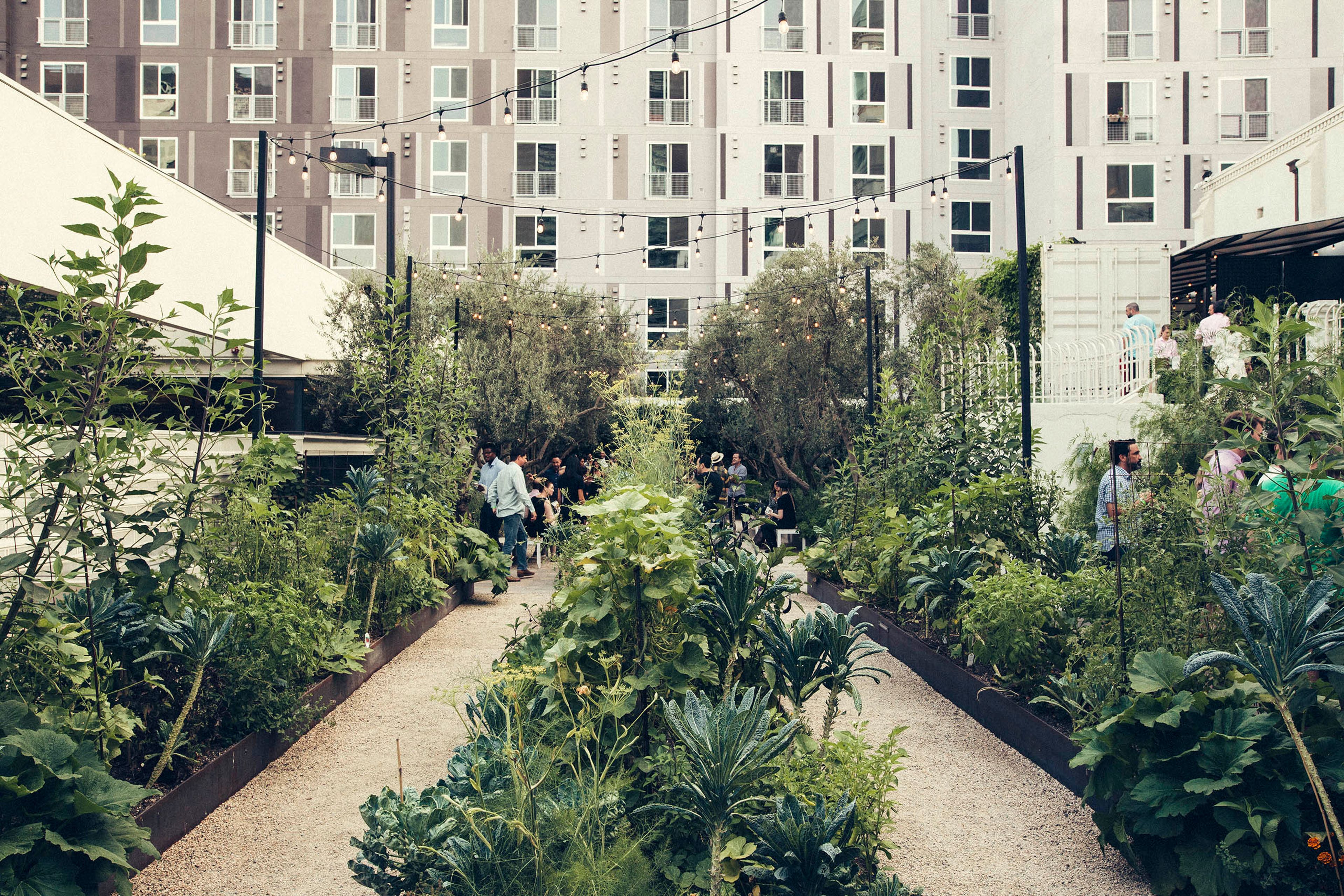 The Garden, an event space at Redbird