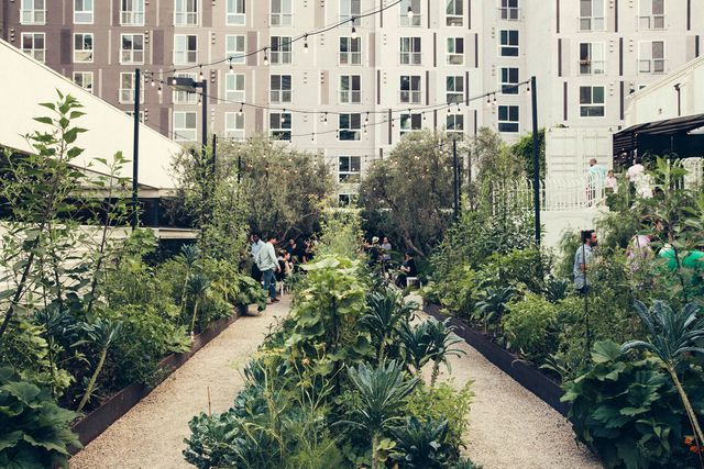 Featured photo from The Garden