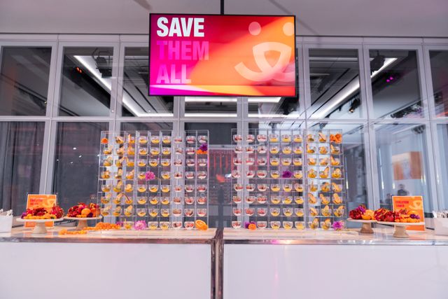 Featured photo from Best Friends Benefit to Save Them All! | Immersive Gala Experience In NYC
