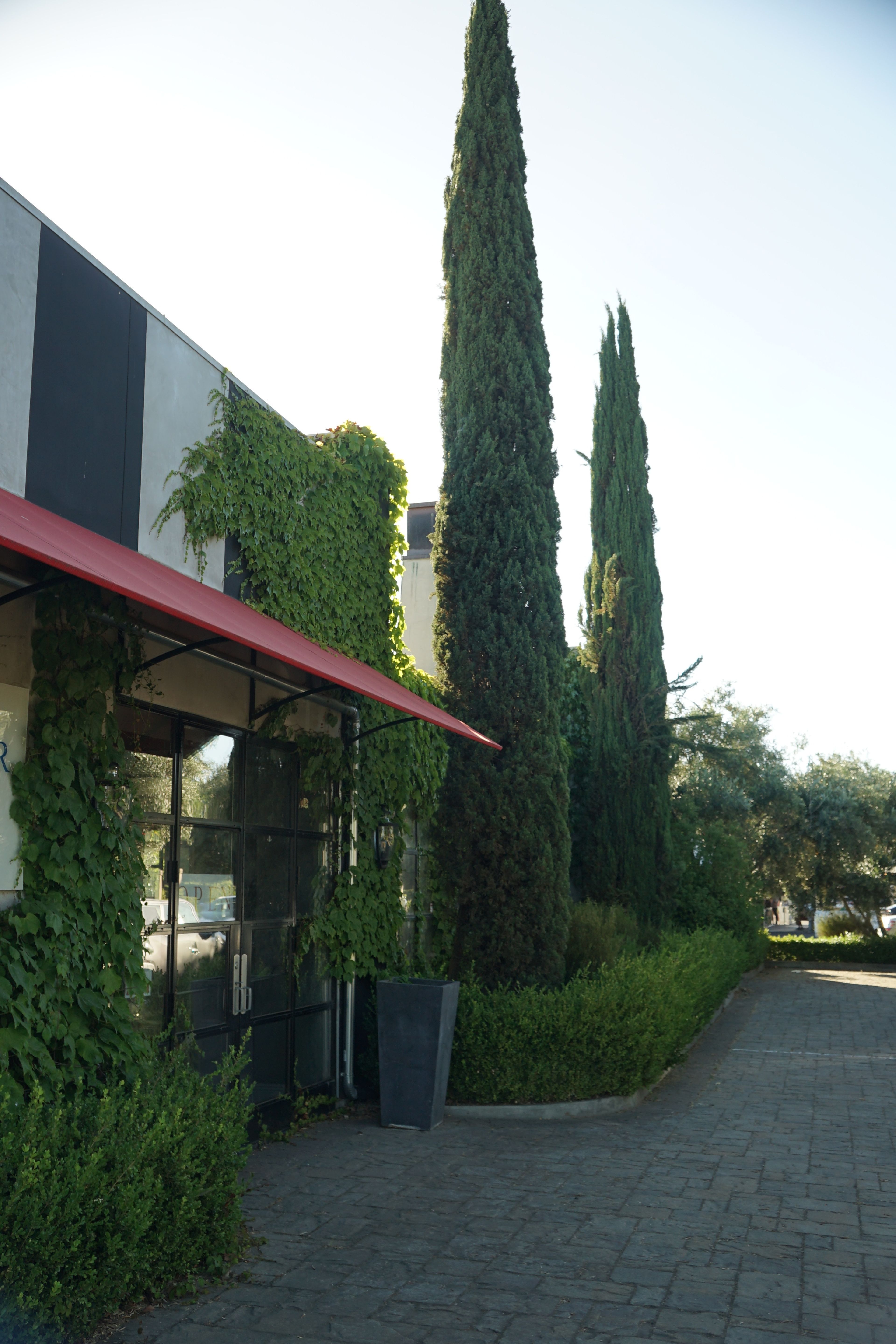 Vine Star, an event space at Vine Star