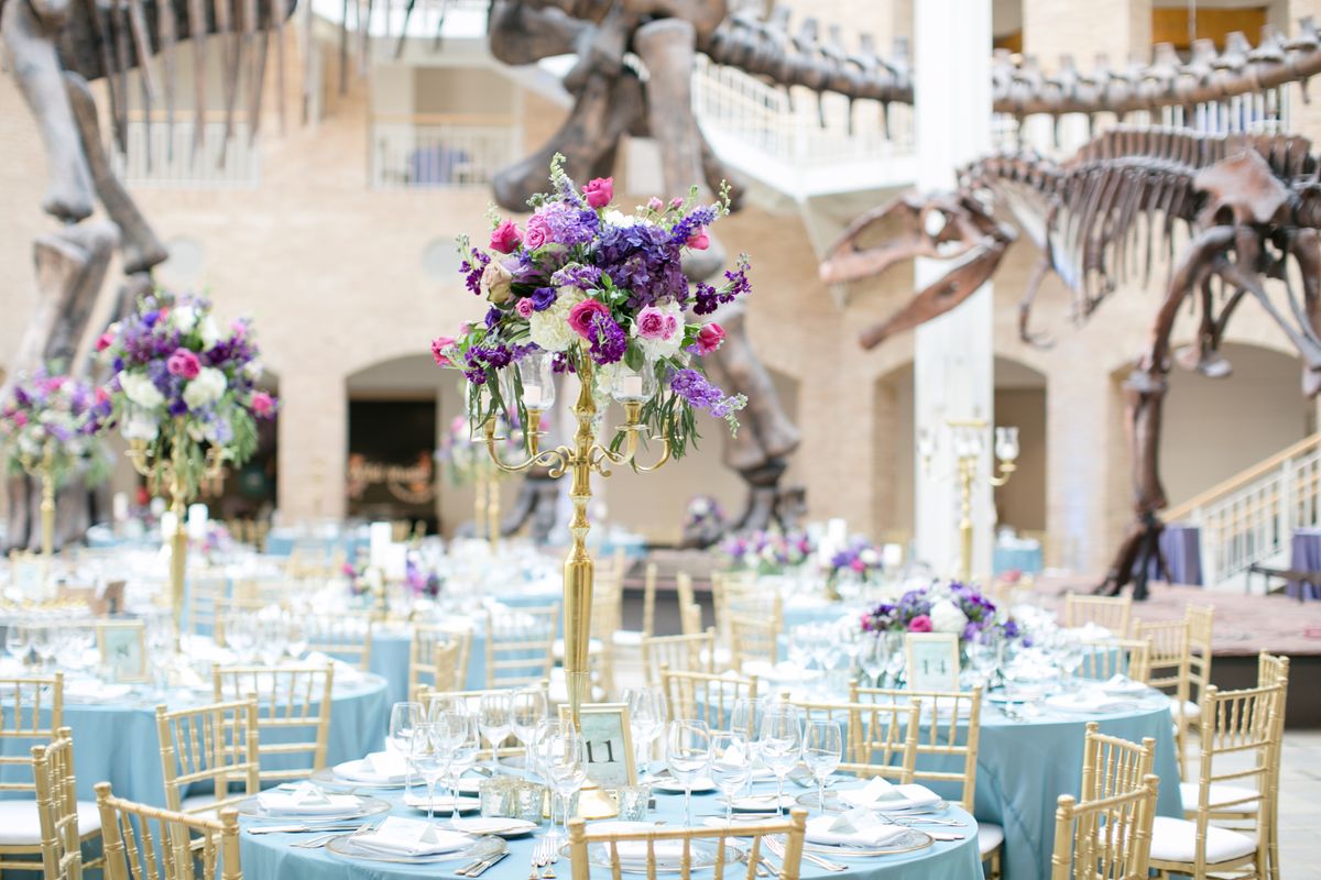 Fernbank Museum of Natural History, photo 6