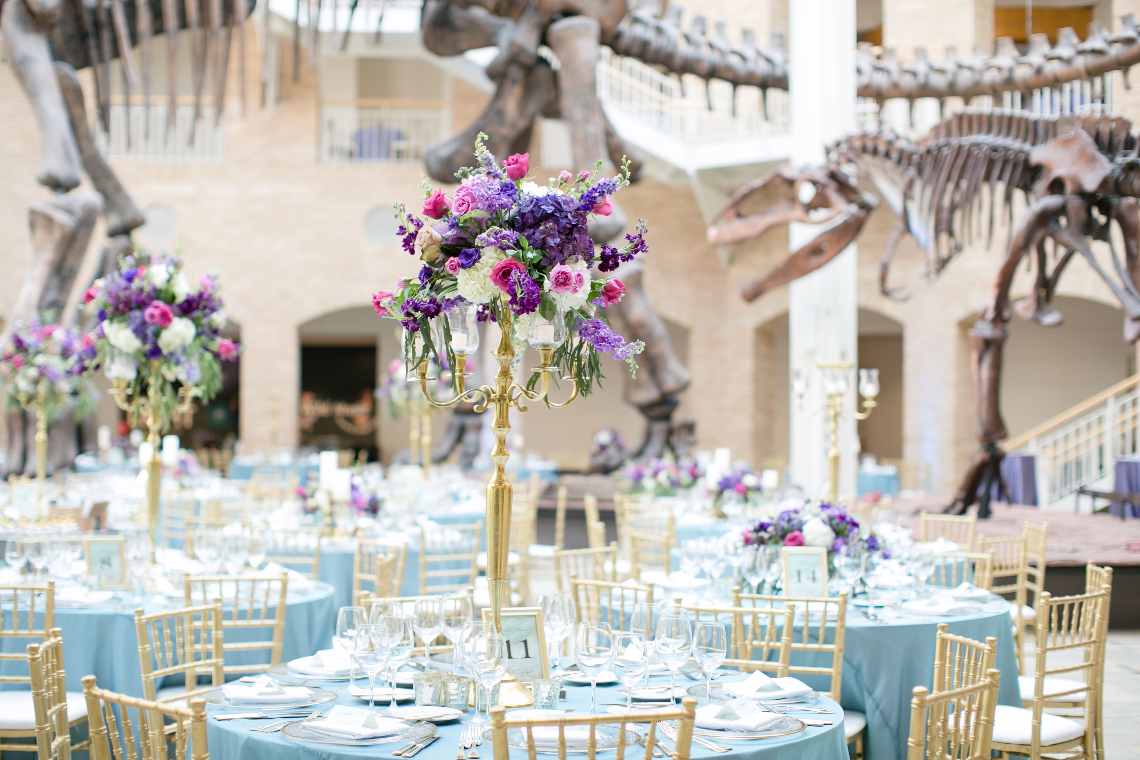 Great Hall, an event space at Fernbank Museum of Natural History