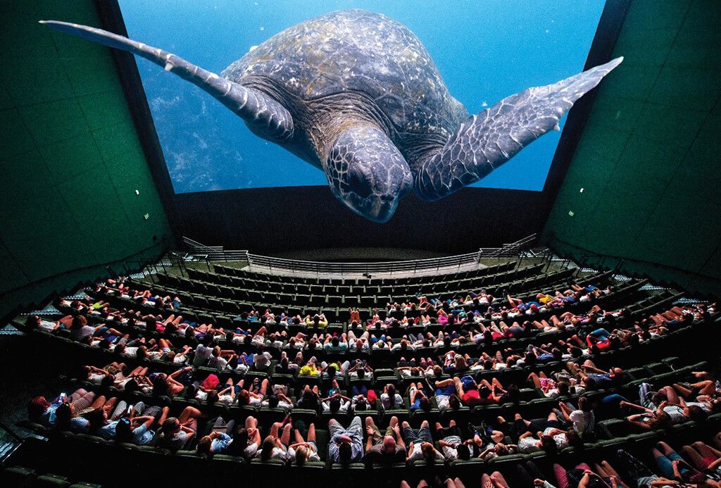 photo-77412bca-b16a-4e92-8dde-