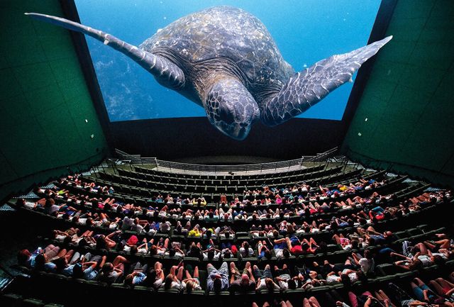 Featured photo from The Giant Screen Theater, Frances Wood Wilson Theater, & Exhibitions