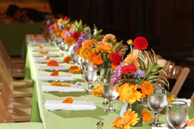 Featured photo from African Animal Themed Wedding