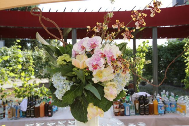 Featured photo from Centennial Celebration of the Natural History Museum of Los Angles County