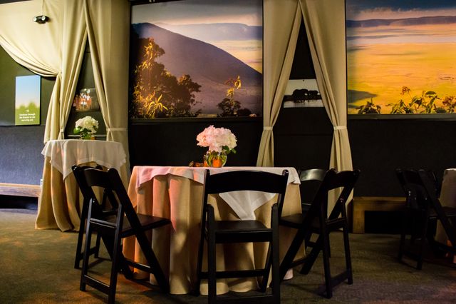 Featured photo from Big Cat Falls