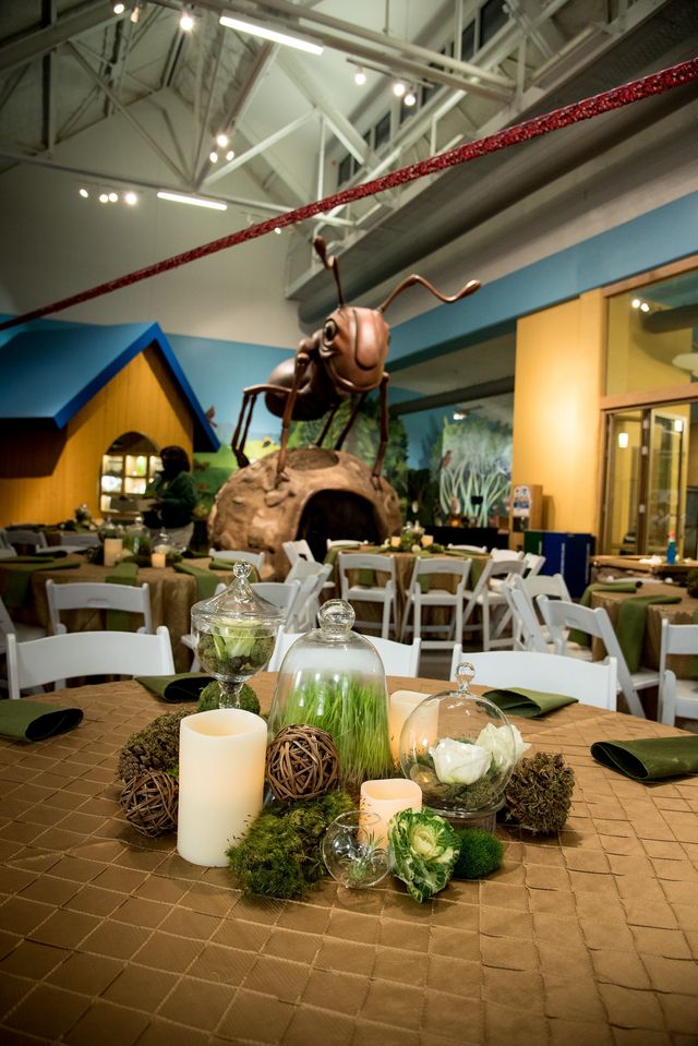 Featured photo from KidZooU