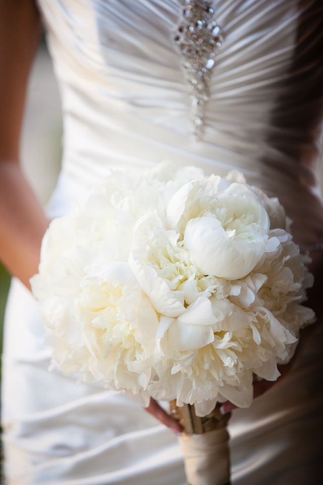 Featured photo from White and Gold Elegant Wedding