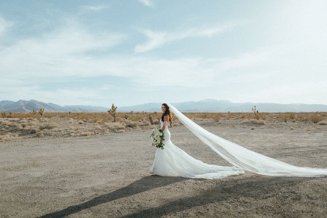Featured photo from Classic White Desert Garden Wedding