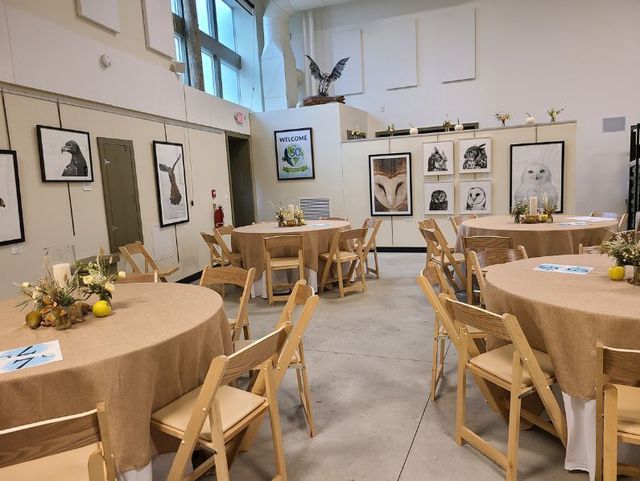 Featured photo from Neale Pavilion