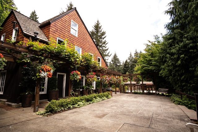 Featured photo from South Patio
