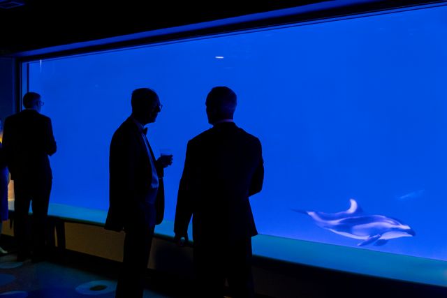 Featured photo from Underwater Viewing