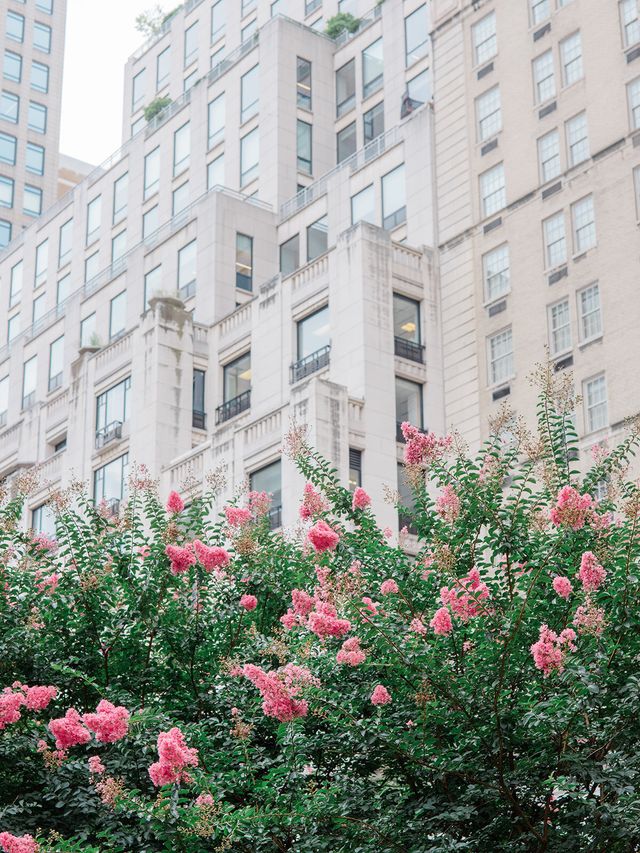 Featured photo from An Iconic Indian Wedding at The Pierre NYC