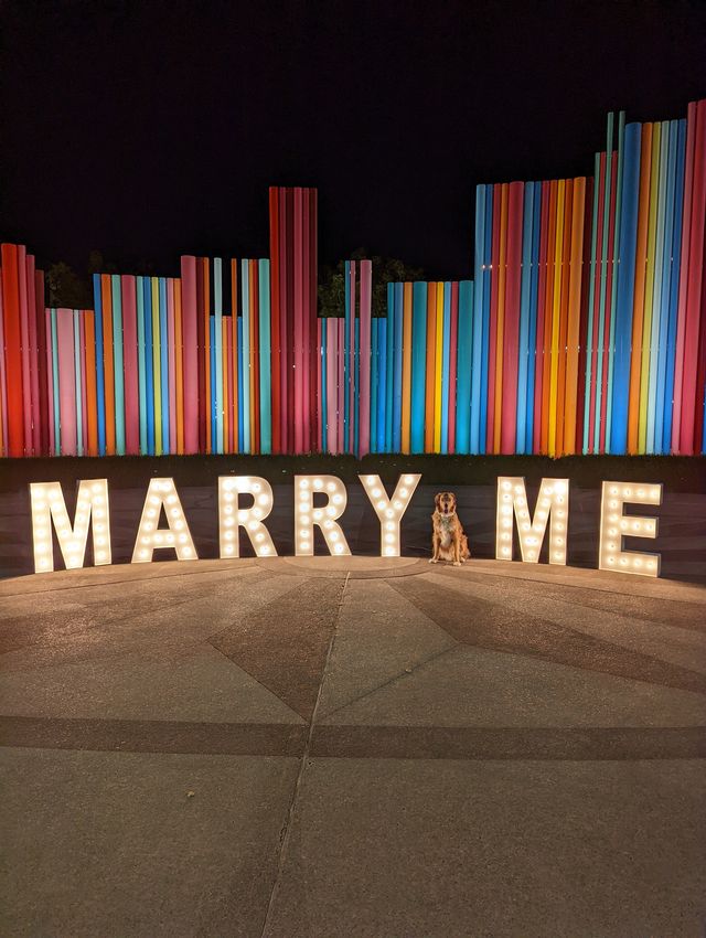 Featured photo from Proposals