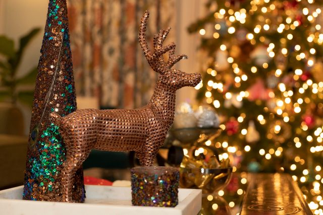 Featured photo from A Bitchin Christmas Party